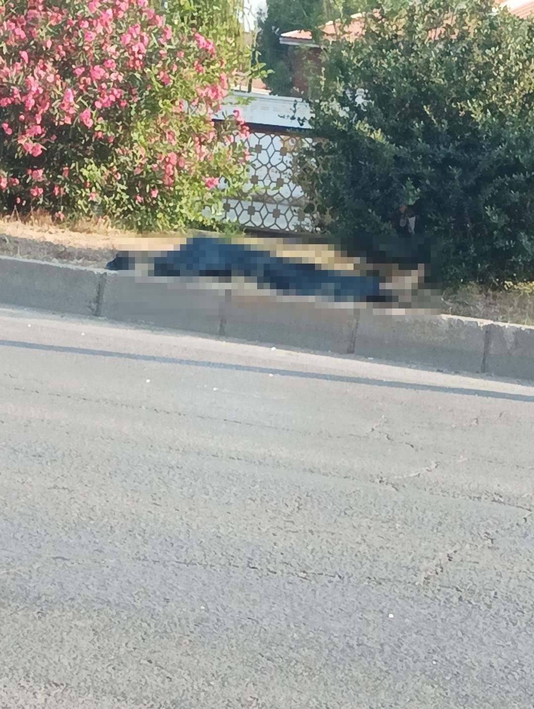 Adana’da minibüsün çarptığı yaya hayatını kaybetti