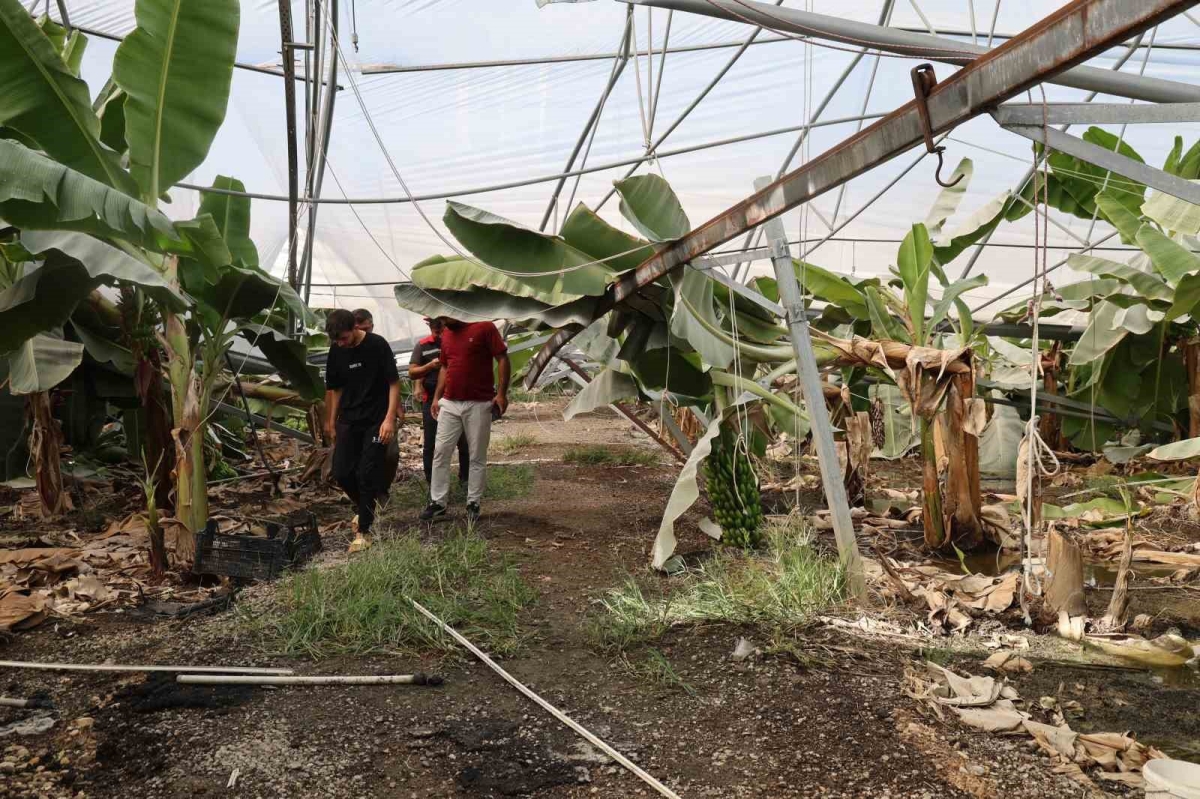 Adana’da fırtına çatıları uçurdu, muz serasında direkler devrildi