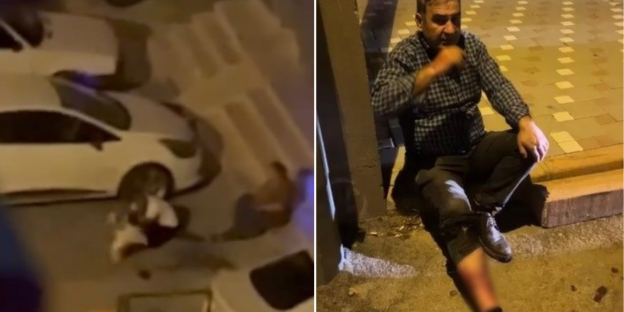 Adana'da evden kaçan pitbull dehşeti: Sahibini ve 2 kişiyi yaraladı
