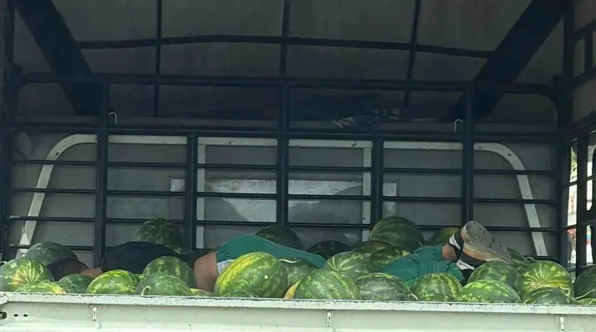 Karpuzlar arasında uyku gülümsetti
