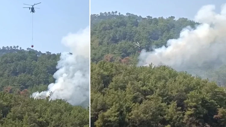 Kozan’daki orman yangını kontrol altına alındı
