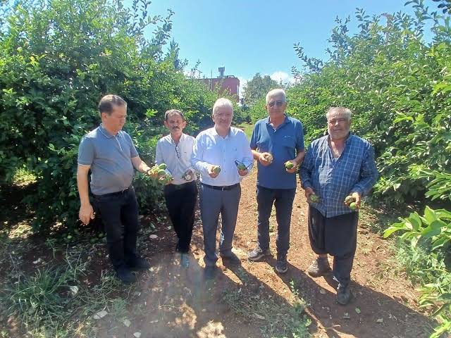 Yüreğir’de dolu afeti: Yaklaşık 35 bin dönüm tarım alanı zarar gördü